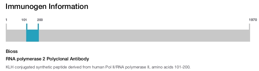 RNA polymerase 2 Polyclonal Antibody