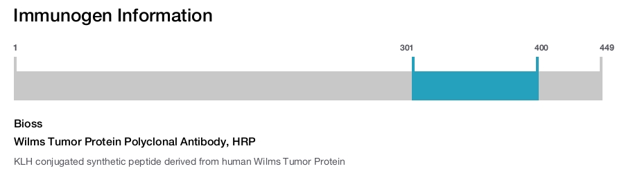 Wilms Tumor Protein Polyclonal Antibody, HRP