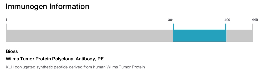Wilms Tumor Protein Polyclonal Antibody, PE