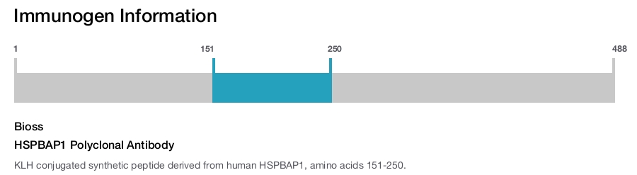 HSPBAP1 Polyclonal Antibody