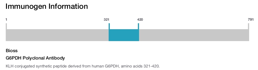 G6PDH Polyclonal Antibody
