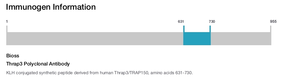 Thrap3 Polyclonal Antibody