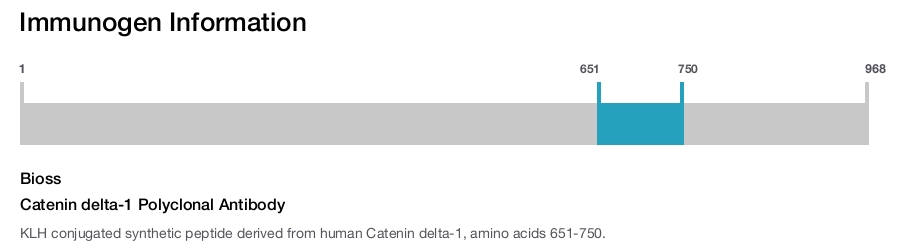 Catenin delta-1 Polyclonal Antibody