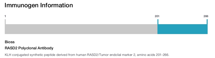 RASD2 Polyclonal Antibody