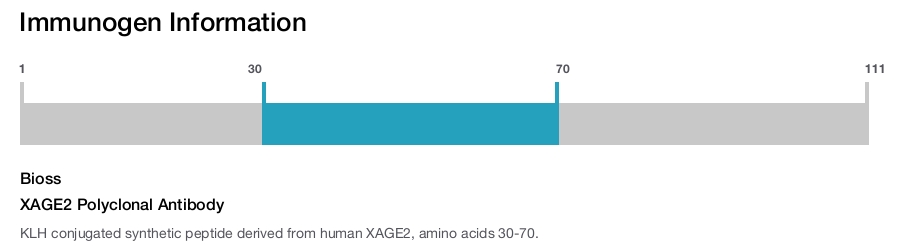 XAGE2 Polyclonal Antibody