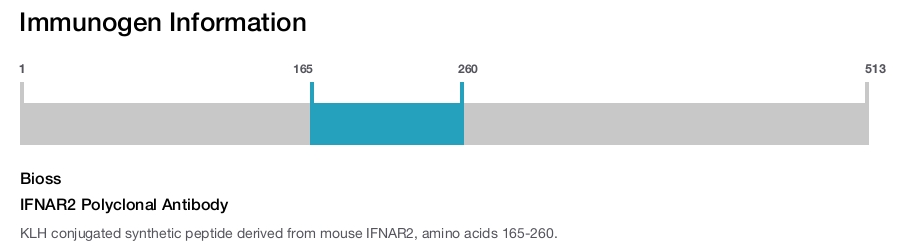 IFNAR2 Polyclonal Antibody