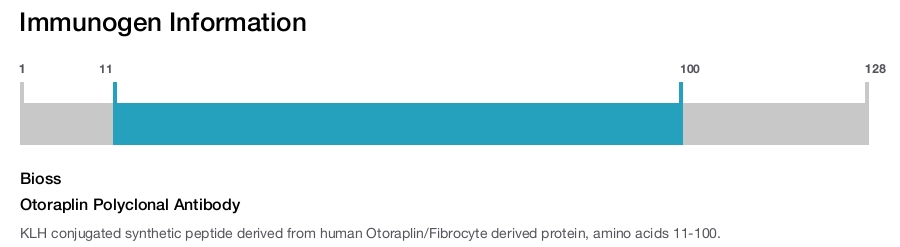 Otoraplin Polyclonal Antibody