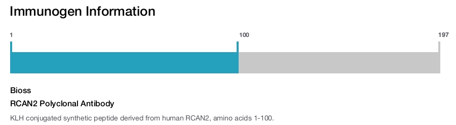 RCAN2 Polyclonal Antibody