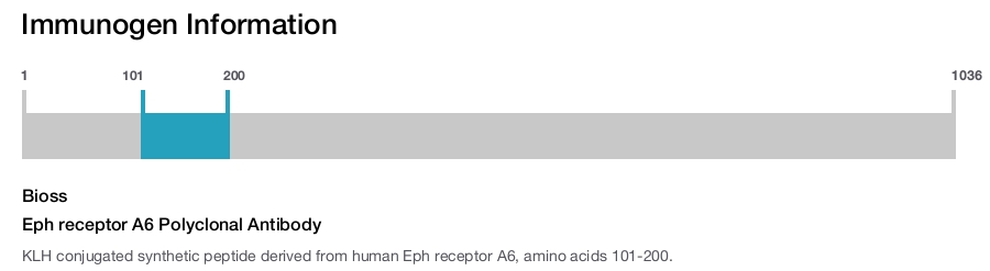 Eph receptor A6 Polyclonal Antibody