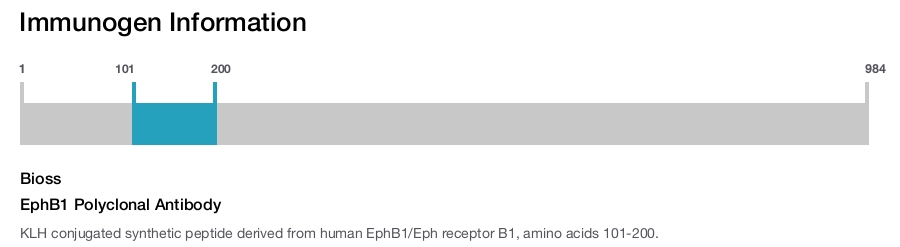 EphB1 Polyclonal Antibody