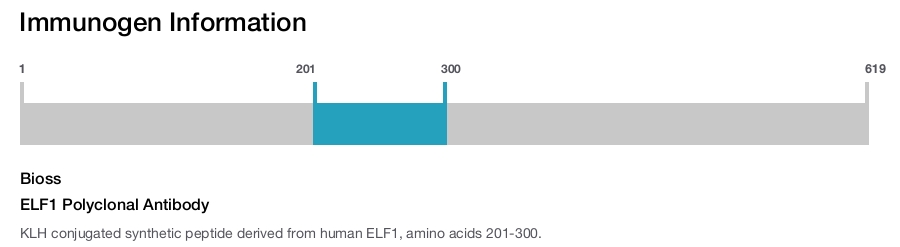 ELF1 Polyclonal Antibody