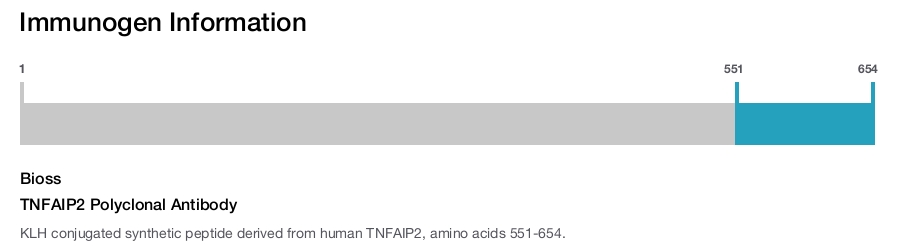 TNFAIP2 Polyclonal Antibody