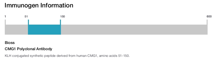 CMG1 Polyclonal Antibody