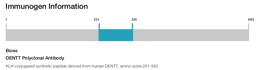 DENTT Polyclonal Antibody