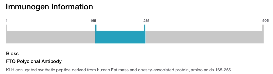 FTO Polyclonal Antibody
