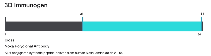 Noxa Polyclonal Antibody