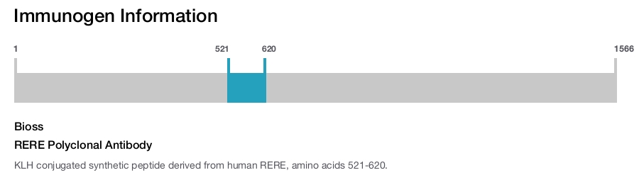 RERE Polyclonal Antibody