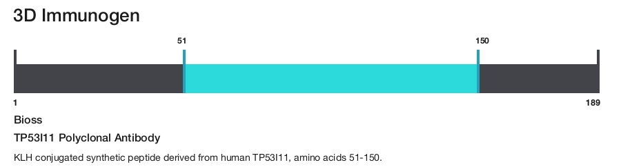 TP53I11 Polyclonal Antibody
