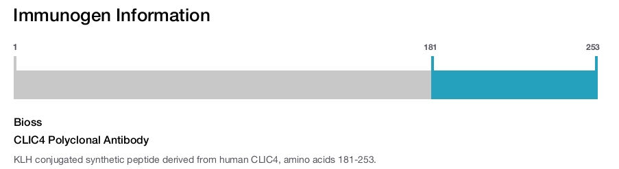 CLIC4 Polyclonal Antibody