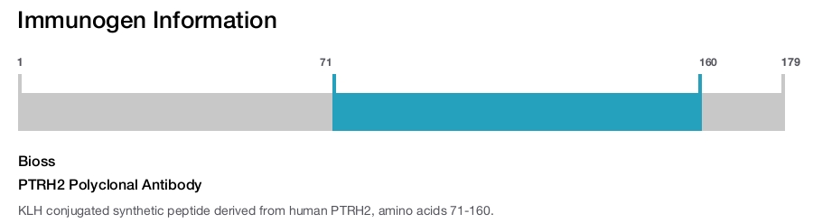 PTRH2 Polyclonal Antibody