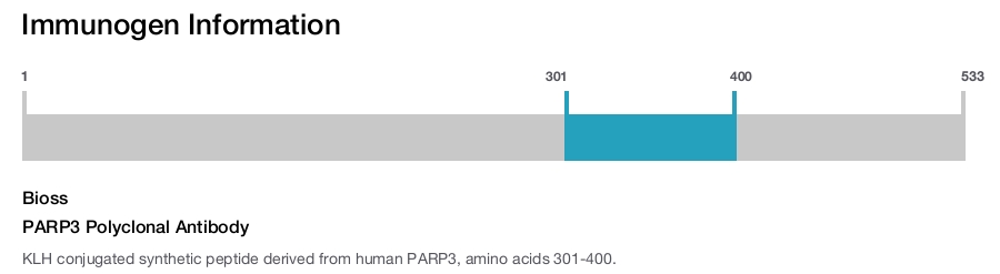 PARP3 Polyclonal Antibody