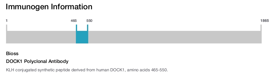 DOCK1 Polyclonal Antibody