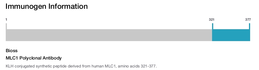 MLC1 Polyclonal Antibody