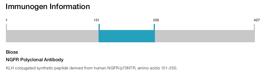 NGFR Polyclonal Antibody