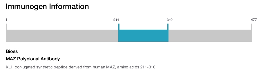 MAZ Polyclonal Antibody