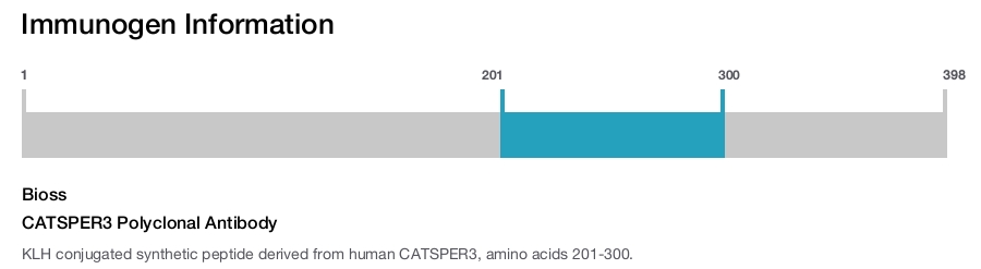 CATSPER3 Polyclonal Antibody