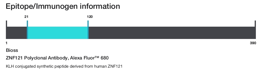 ZNF121 Polyclonal Antibody, Alexa Fluor&trade; 680