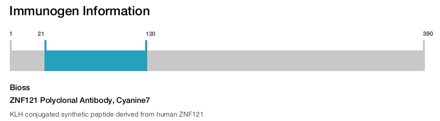 ZNF121 Polyclonal Antibody, Cyanine7