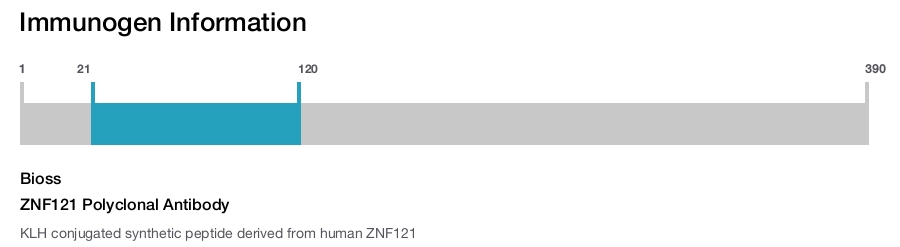 ZNF121 Polyclonal Antibody