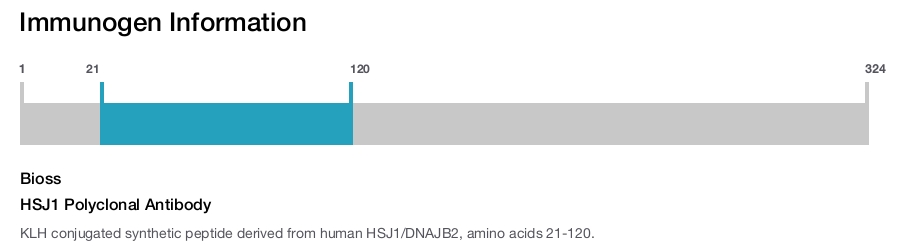 HSJ1 Polyclonal Antibody