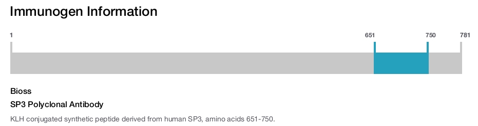 SP3 Polyclonal Antibody