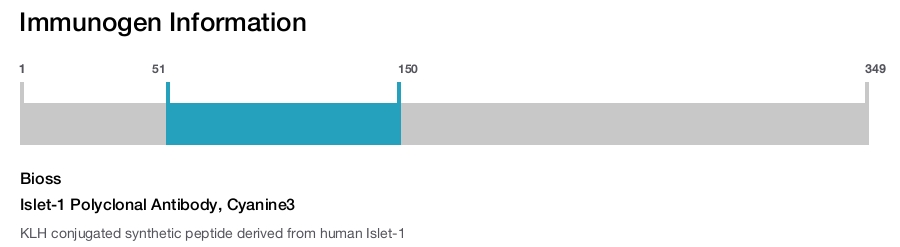 Islet-1 Polyclonal Antibody, Cyanine3