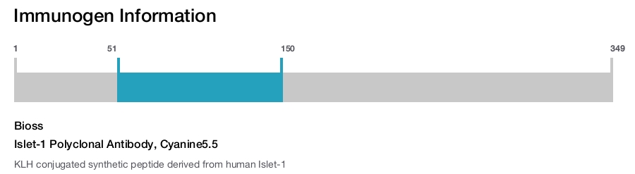 Islet-1 Polyclonal Antibody, Cyanine5.5