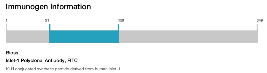 Islet-1 Polyclonal Antibody, FITC