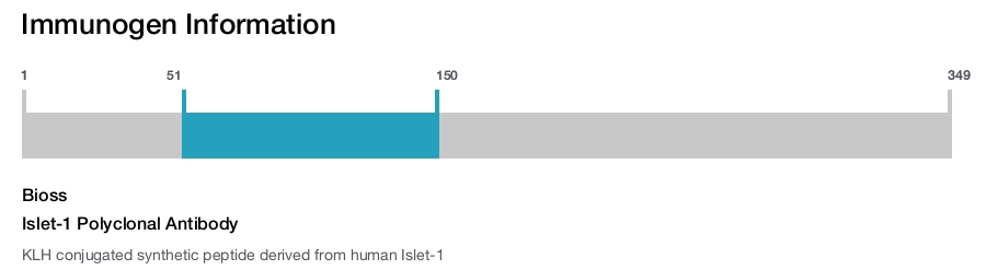Islet-1 Polyclonal Antibody