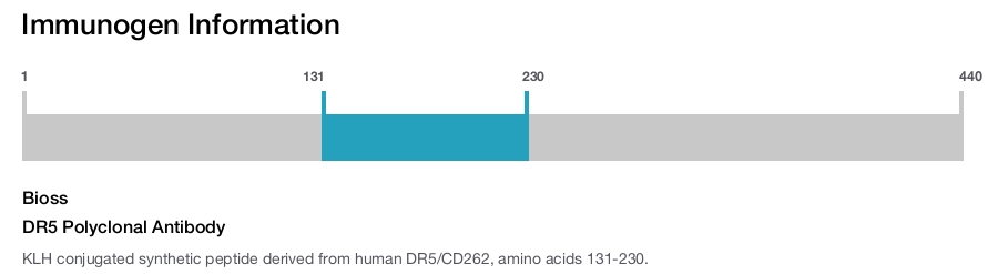 DR5 Polyclonal Antibody