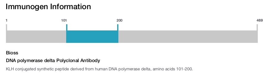 DNA polymerase delta Polyclonal Antibody