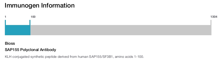 SAP155 Polyclonal Antibody