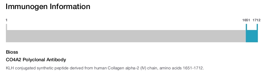 CO4A2 Polyclonal Antibody