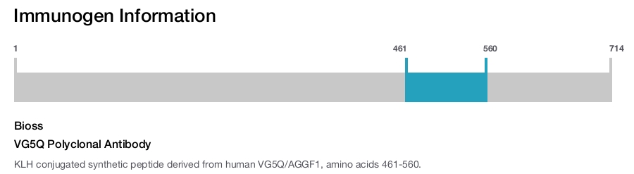 VG5Q Polyclonal Antibody