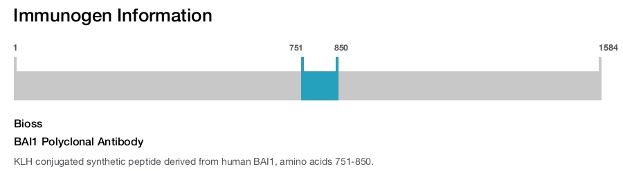 BAI1 Polyclonal Antibody
