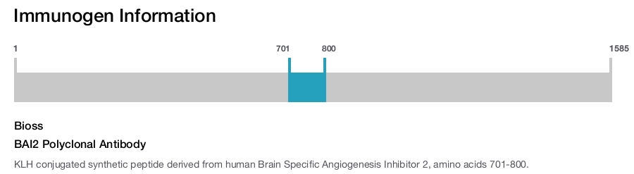 BAI2 Polyclonal Antibody