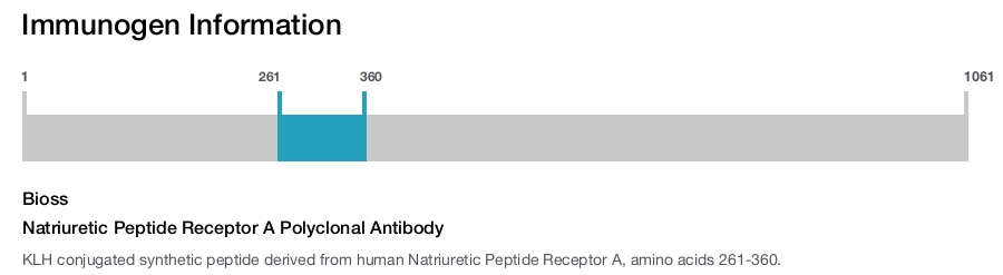 Natriuretic Peptide Receptor A Polyclonal Antibody