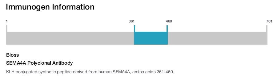 SEMA4A Polyclonal Antibody