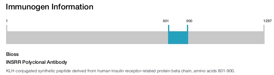 INSRR Polyclonal Antibody