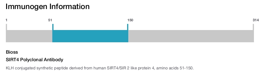 SIRT4 Polyclonal Antibody
